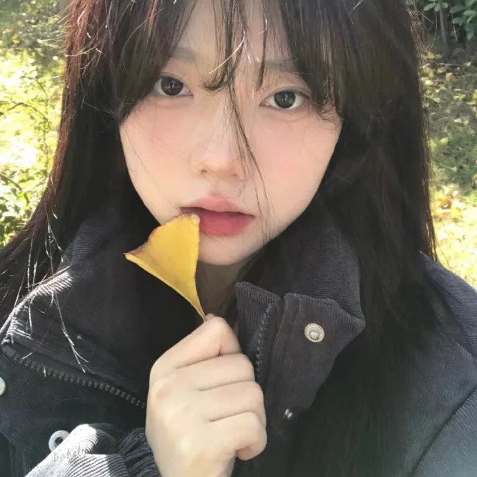 如果历史是一群喵 第四季